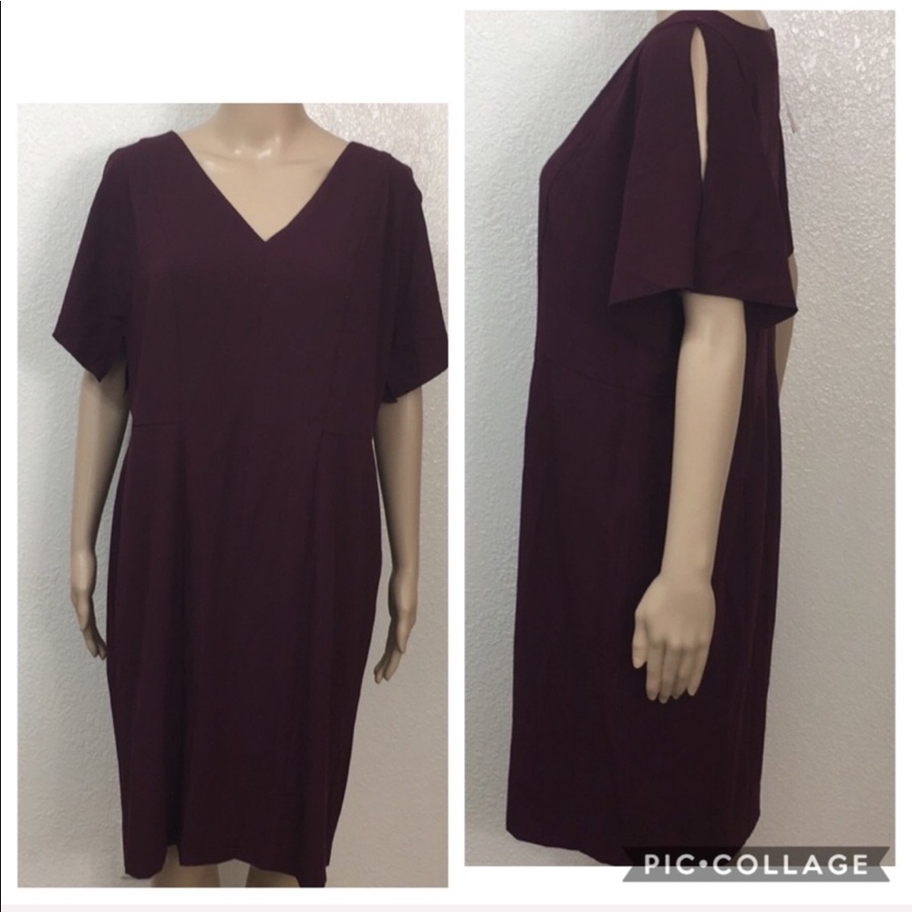 🆕 Ann Taylor Burgundy Split Sleeve Dress
